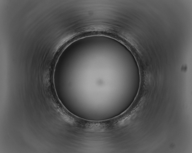 X0000091080826200708271234