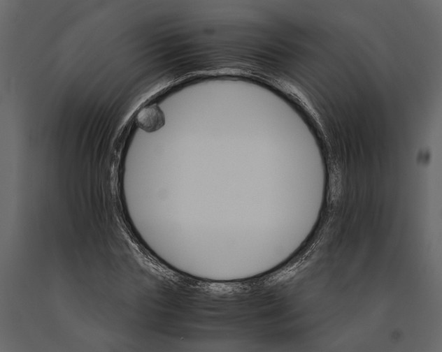 X0000091080827200708271234