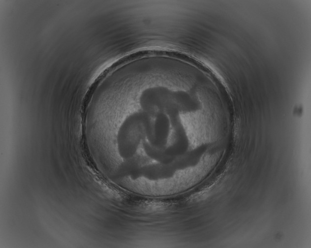 X0000091080829200708271234