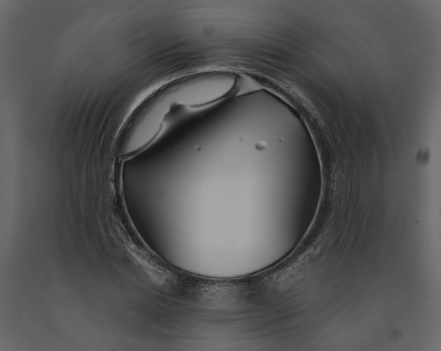 X0000091080830200708271234