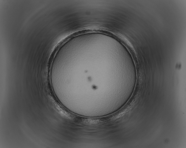 X0000091080831200708271234