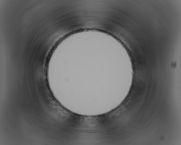 X0000091080832200708271234