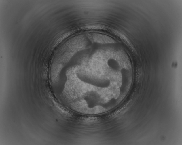 X0000091080833200708271234