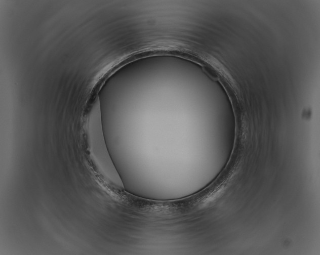 X0000091080834200708271234