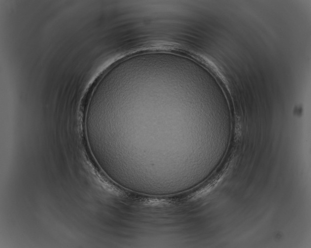 X0000091080835200708271234