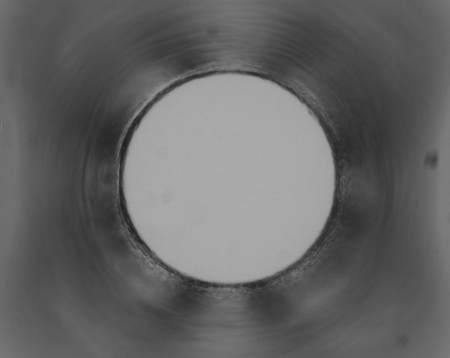 X0000091080836200708271234