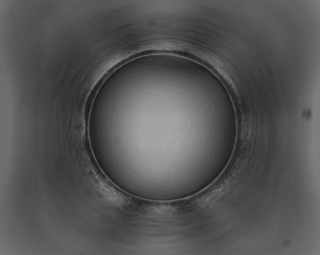 X0000091080837200708271234