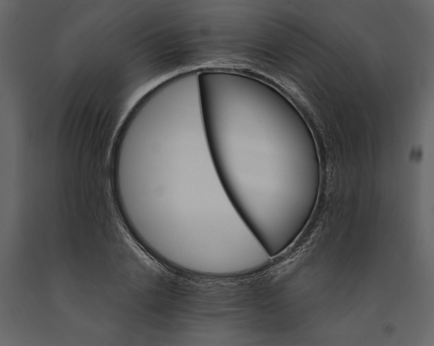 X0000091080838200708271234