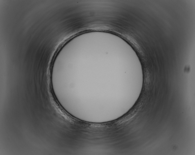 X0000091080840200708271235