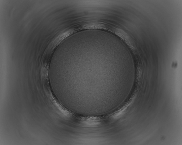 X0000091080841200708271235