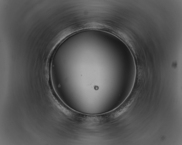 X0000091080843200708271235