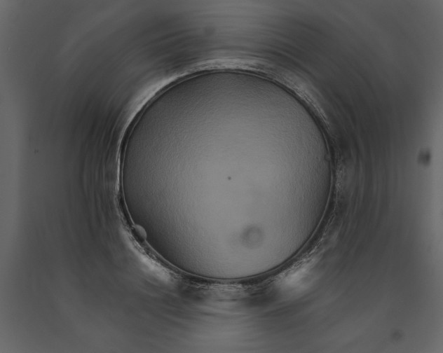 X0000091080844200708271235