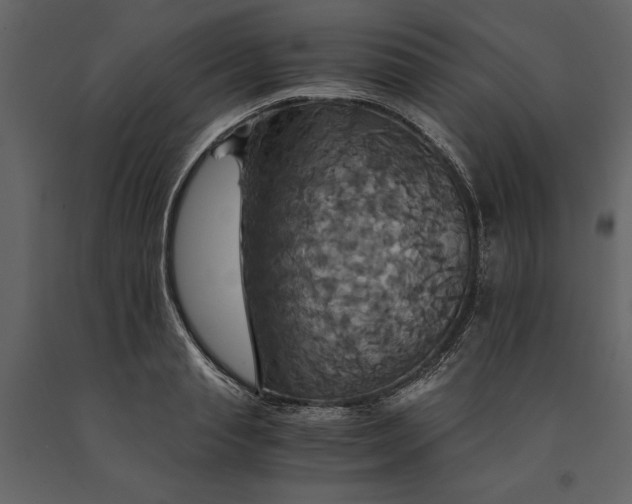 X0000091080845200708271235