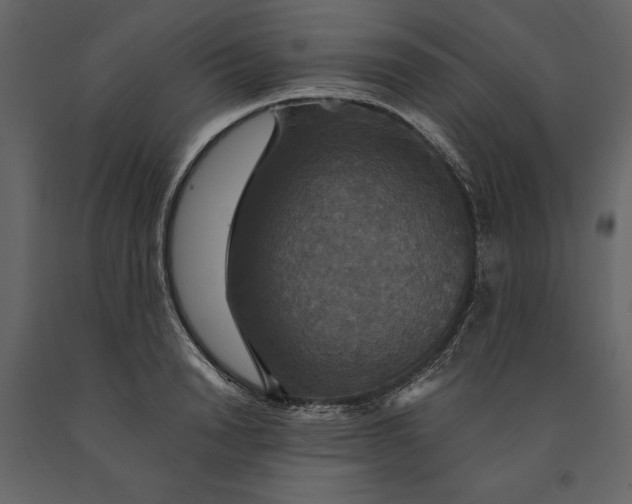 X0000091080846200708271235