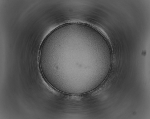 X0000091080847200708271235