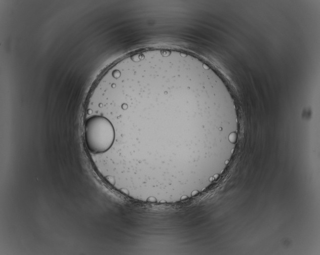 X0000091080848200708271235