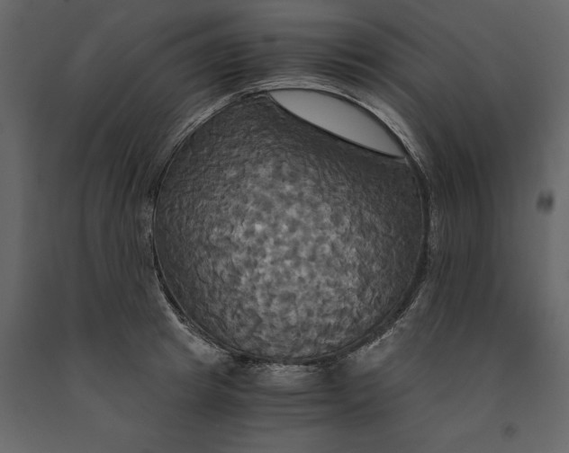 X0000091080849200708271235