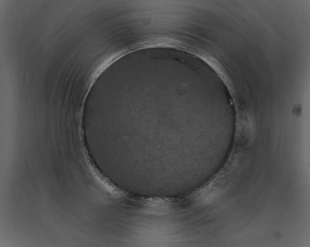 X0000091080850200708271235