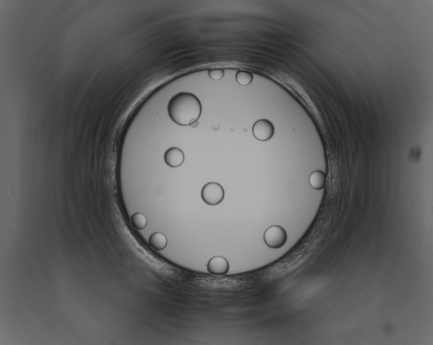 X0000091080851200708271235