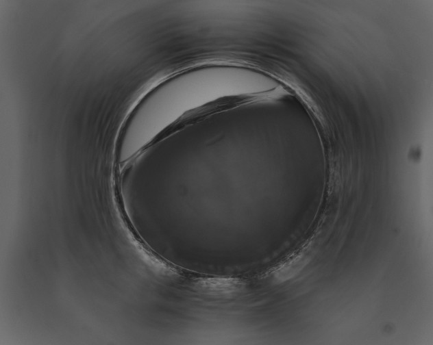 X0000091080853200708271235