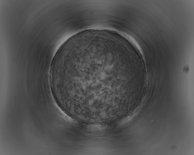 X0000091080855200708271235