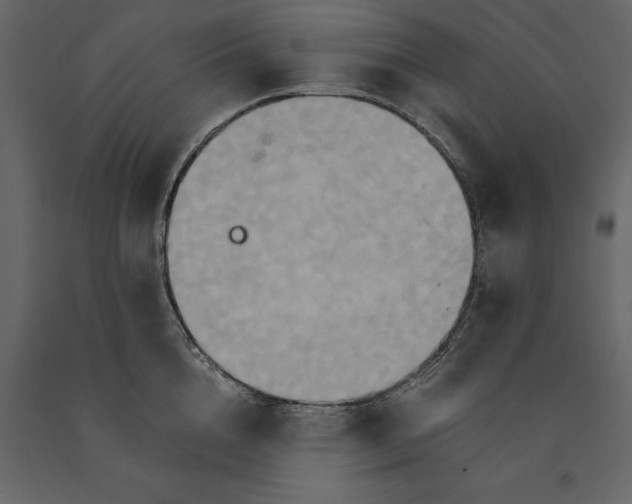 X0000091080856200708271235