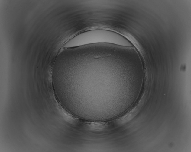 X0000091080857200708271235