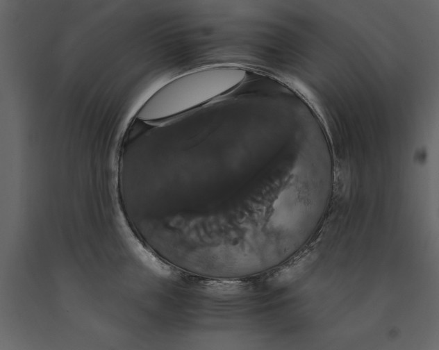 X0000091080859200708271235