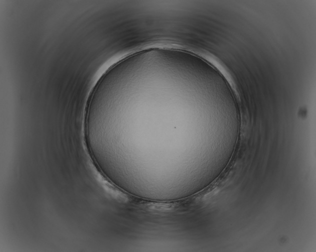 X0000091080861200708271235