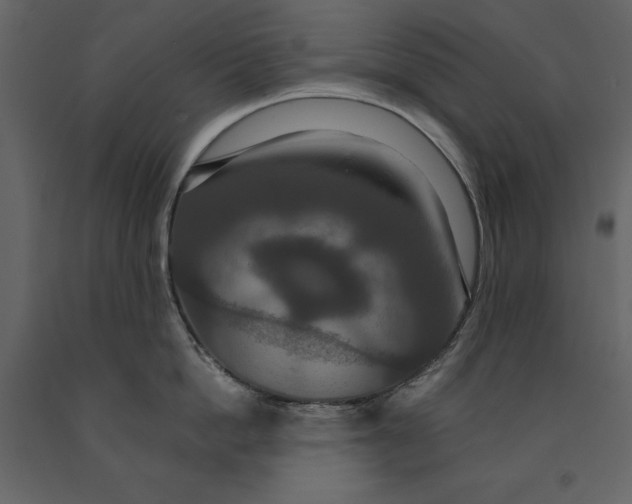 X0000091080862200708271235