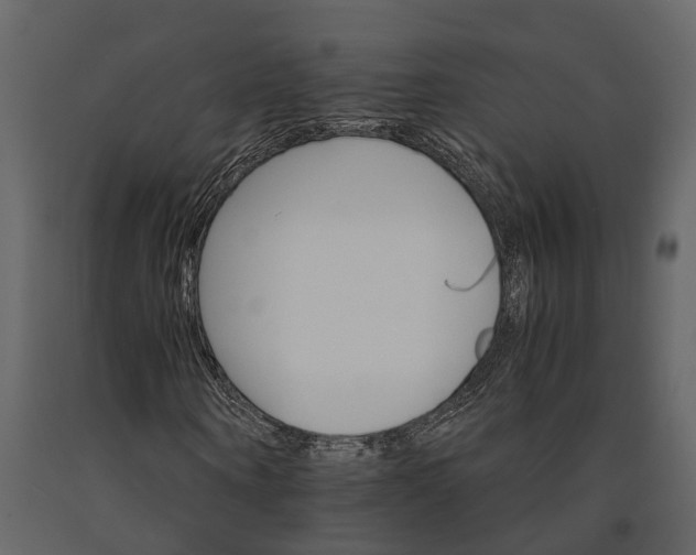 X0000091080866200708271234