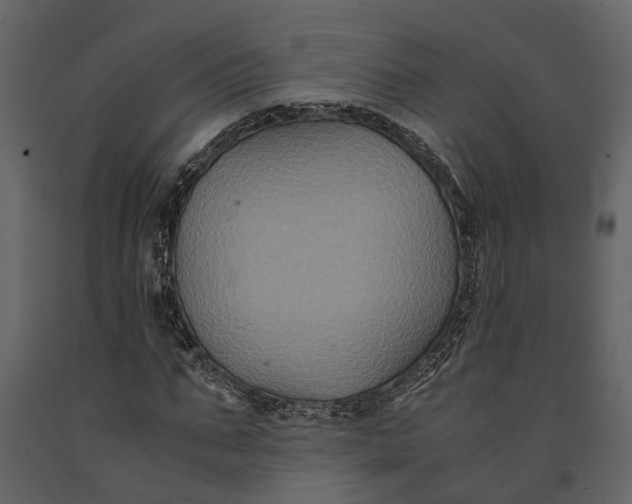 X0000091080871200708271234