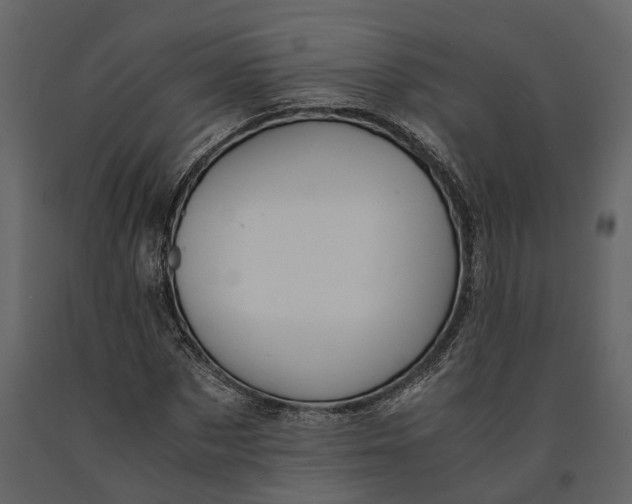 X0000091080873200708271234