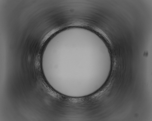 X0000091080874200708271234