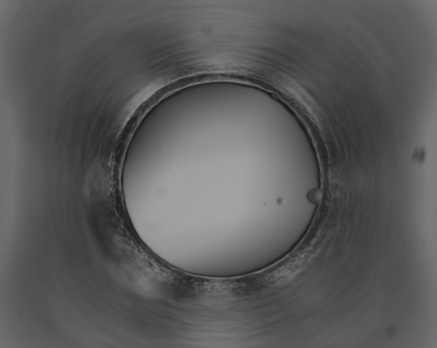 X0000091080875200708271234