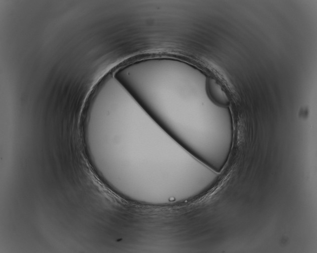 X0000091080876200708271234