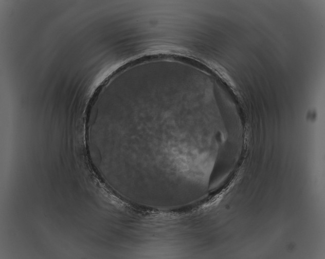 X0000091080877200708271234