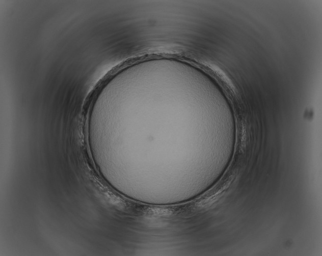 X0000091080878200708271234