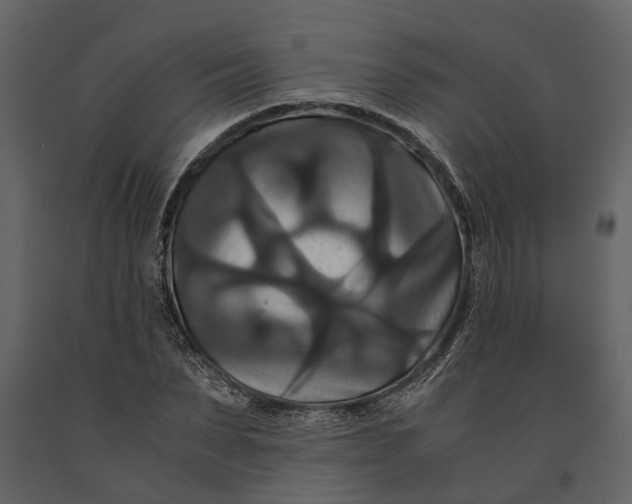 X0000091080879200708271234