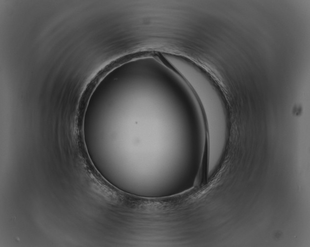 X0000091080880200708271234