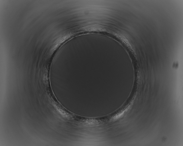 X0000091080881200708271234