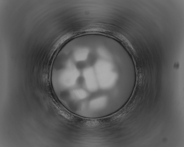 X0000091080882200708271234