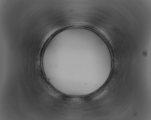 X0000091080883200708271234