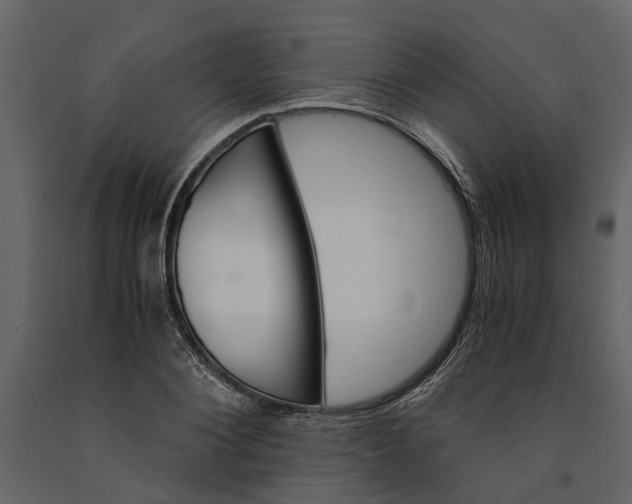 X0000091080884200708271234