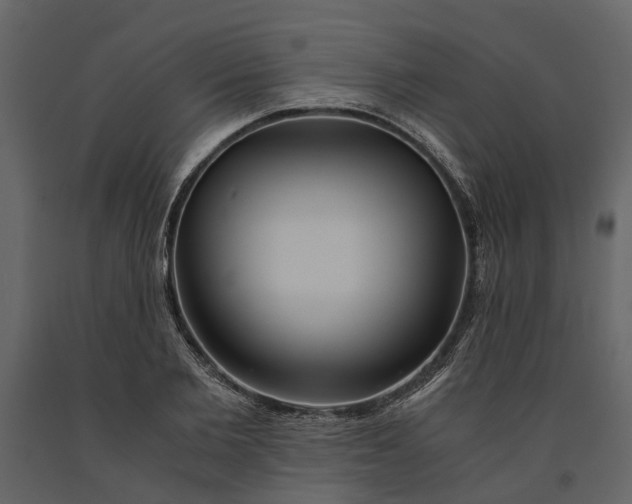 X0000091080885200708271234