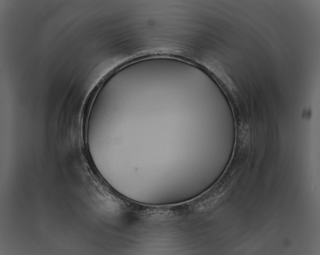 X0000091080886200708271234