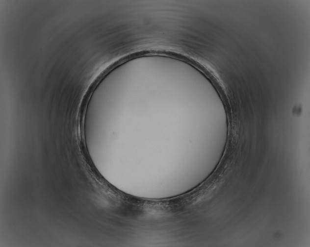 X0000091080887200708271234