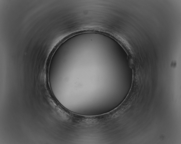 X0000091080888200708271234