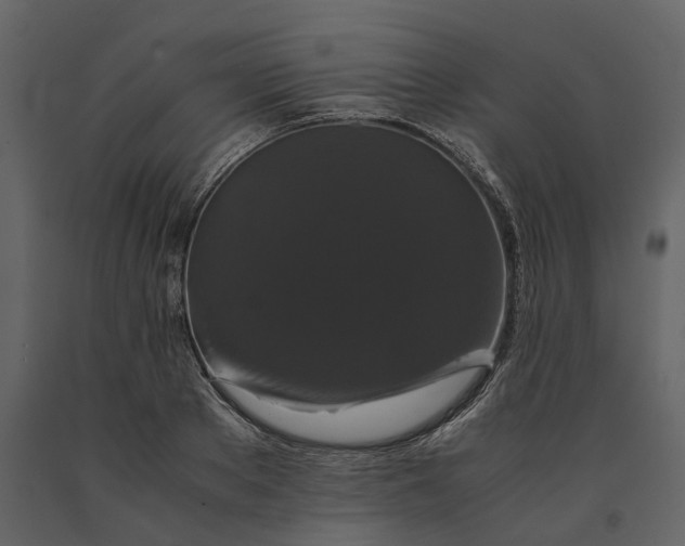 X0000091080889200708271234