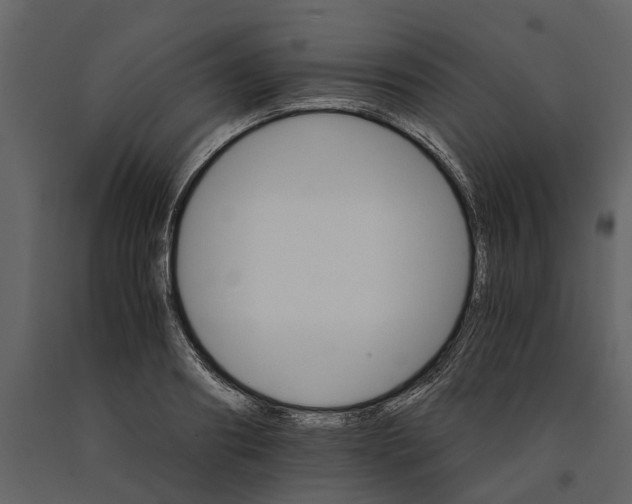 X0000091080890200708271234